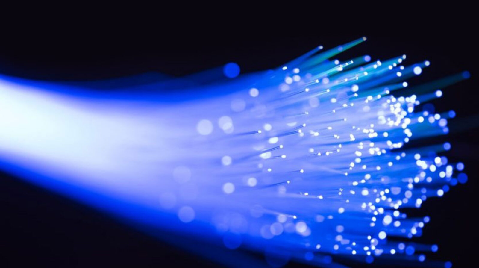 quelles différences pour les professionnels du digital?