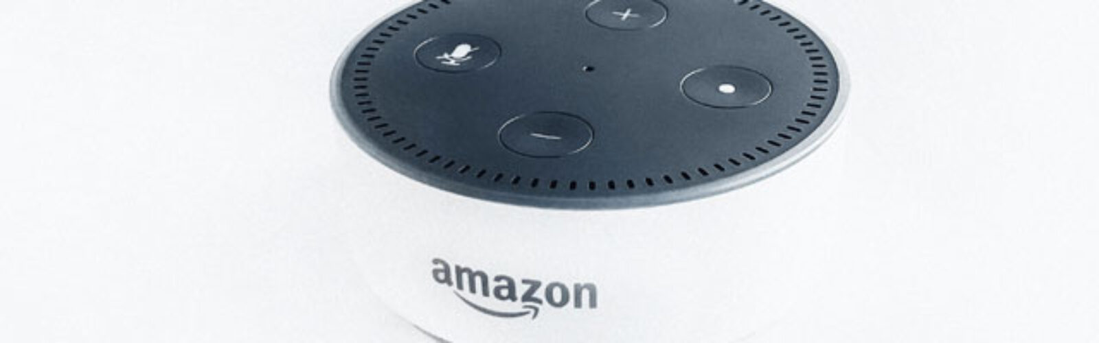 Focus sur les skills d’Amazon Alexa – Actualités SEO et moteurs