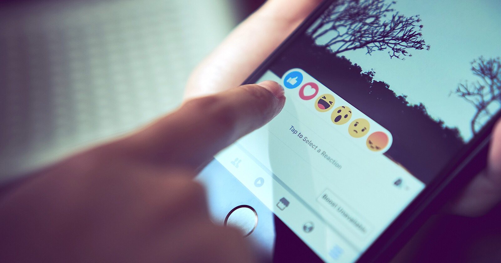 Facebook pourrait suivre Instagram en supprimant les comptes semblables
