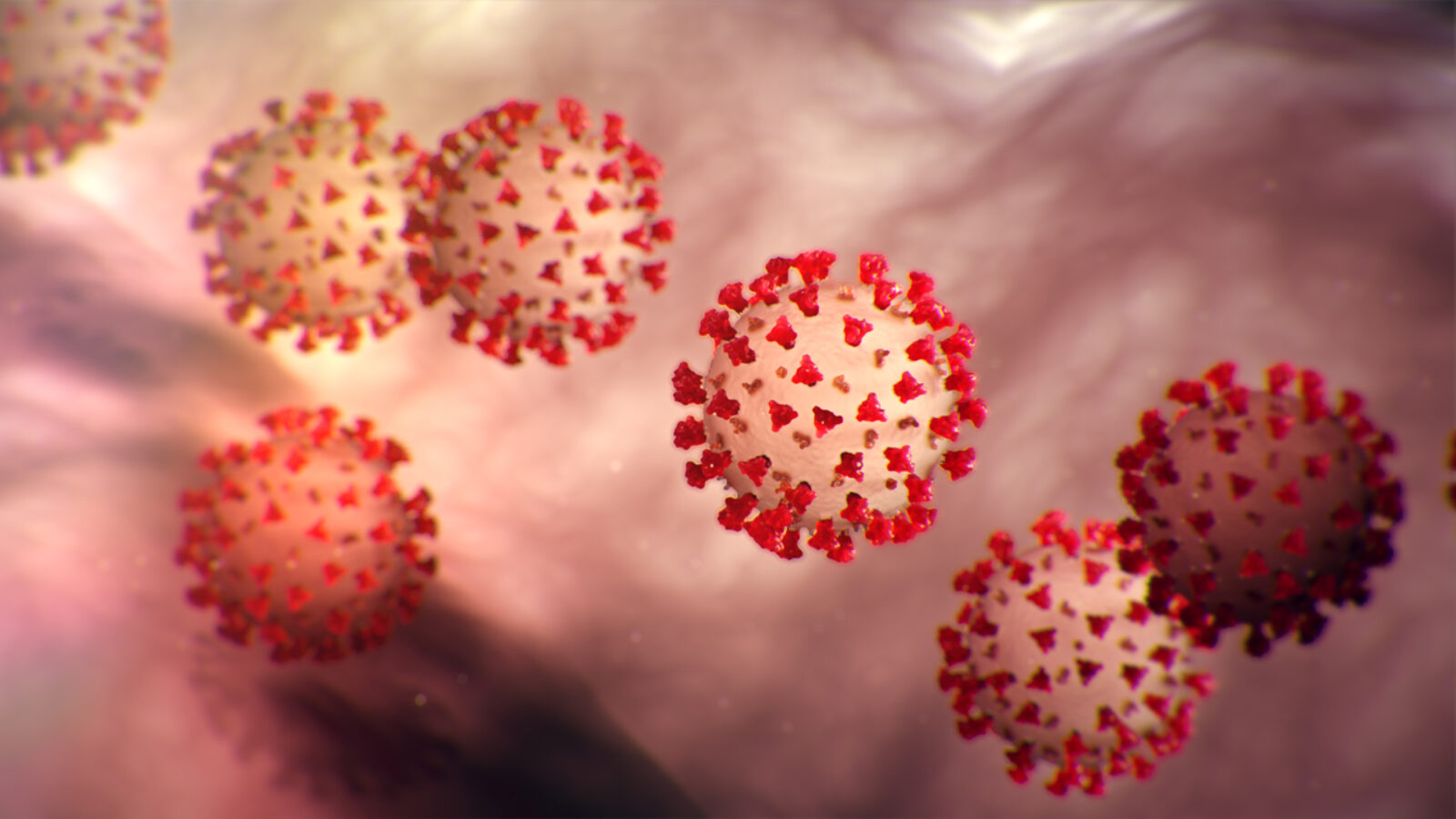 Comment envoyer un e-mail marketing pendant le coronovirus