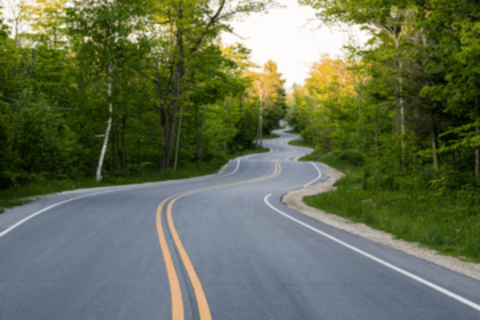 Le paysage du marketing par courriel 2019 et la voie à suivre pour 2020 Watch Engine Watch